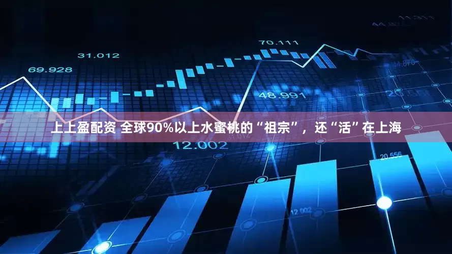 上上盈配资 全球90%以上水蜜桃的“祖宗”，还“活”在上海