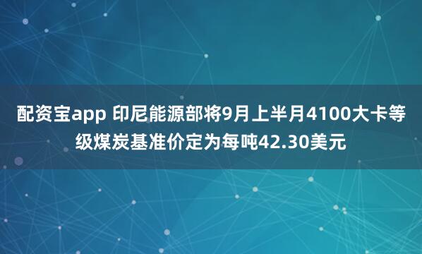 配资宝app 印尼能源部将9月上半月4100大卡等级煤炭基准价定为每吨42.30美元