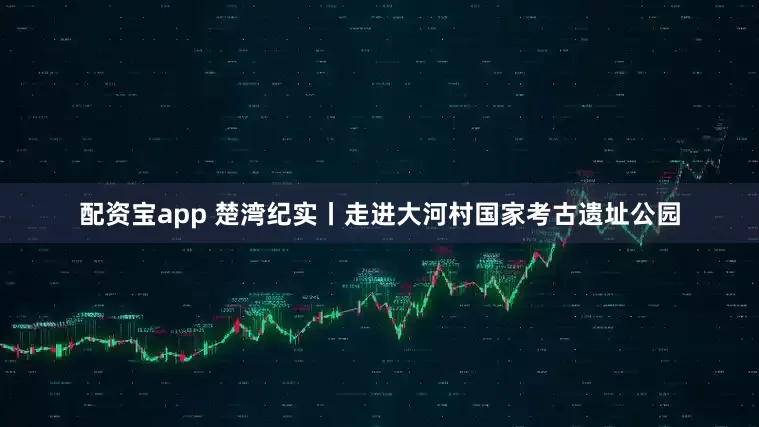 配资宝app 楚湾纪实丨走进大河村国家考古遗址公园